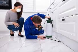 Real Estate Pest Inspections in Wood Dale, IL